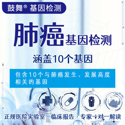 kupować NGS 10 Badanie genów 10 Celowe badania genetyczne ryzyka raka płuc online manufacture