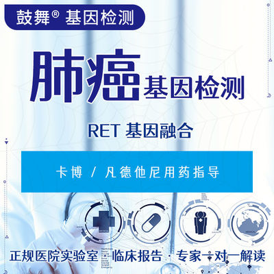 kupować RET Gen Fusion FISH Badanie genetyczne raka 6 dni roboczych online manufacture